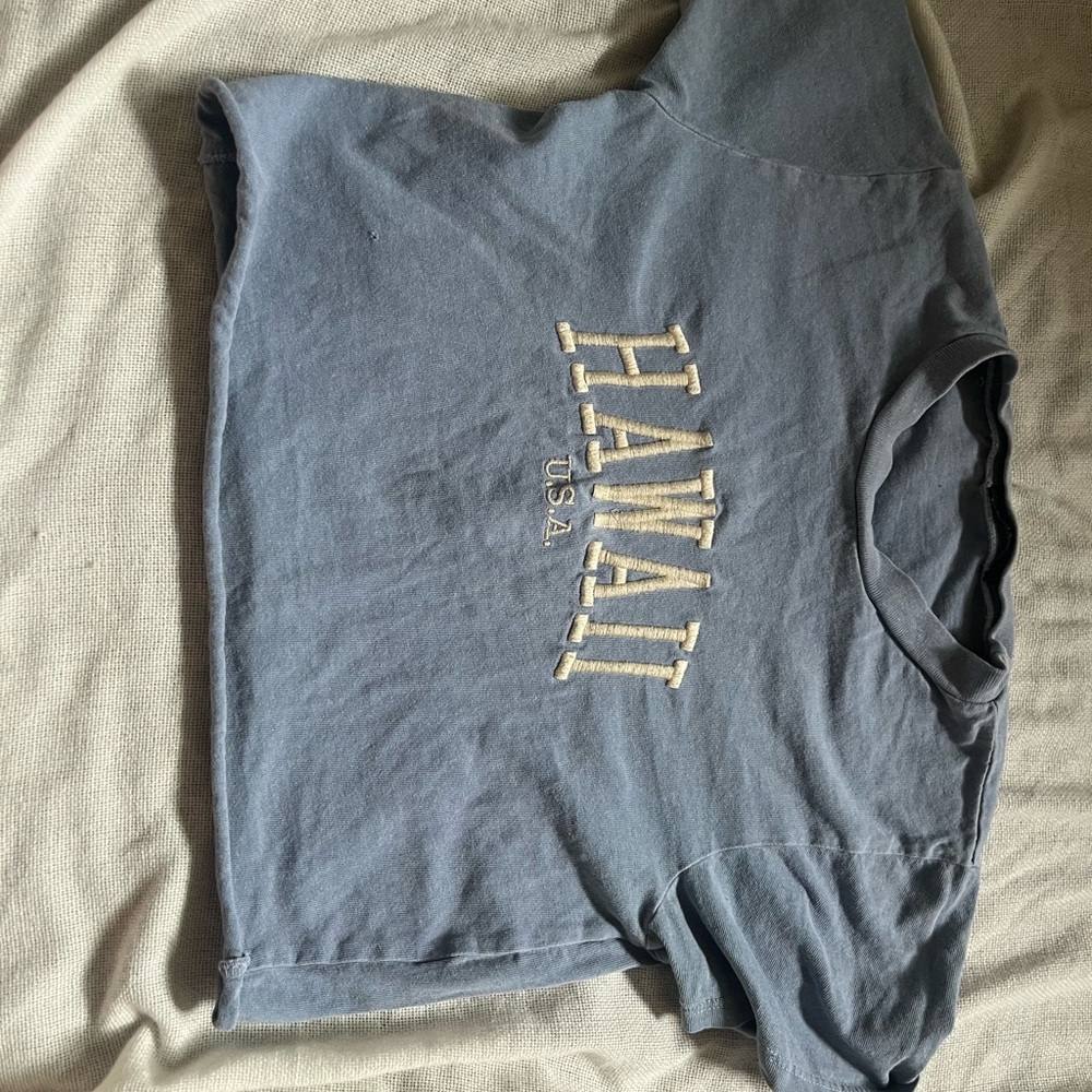 Brandy Melville Blue Crop Top